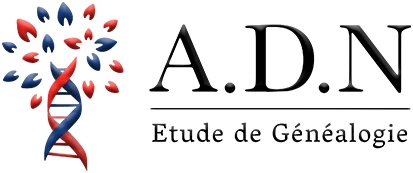 ÉTUDE ADN